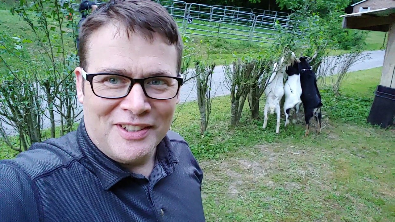 Sad Goodbye to our Goats