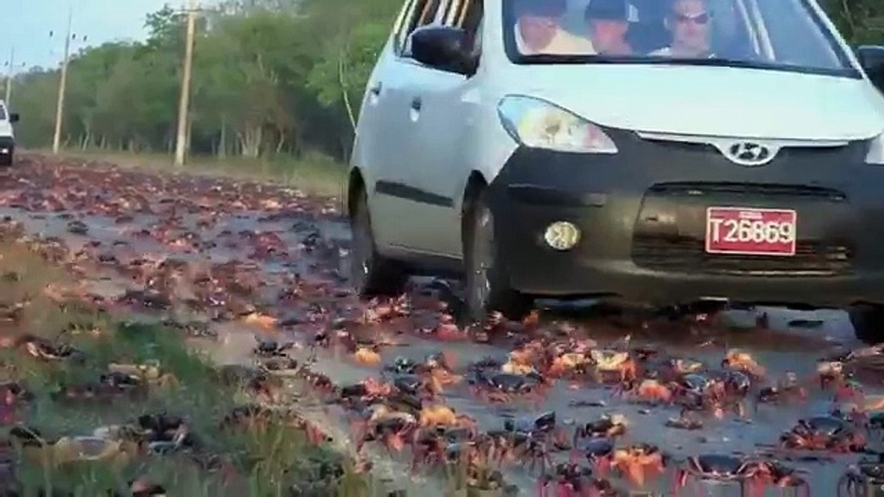 Videos_Impresionantes_2017-_Si_No_Hubieran_Grabado_No_Creerias_de_estos_Hechos(youtube.com)