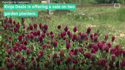 Garden Planters On Sale At Kinja Deals