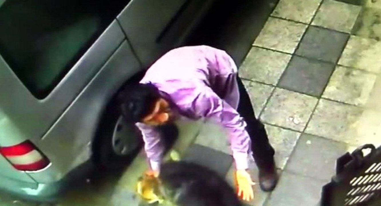 Köpeğe Şiddet Uygulayan Kişi Gözaltına Alındı