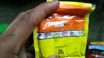 Desi murgi ka vitamin kia kia | দেশি মুরগি পালন