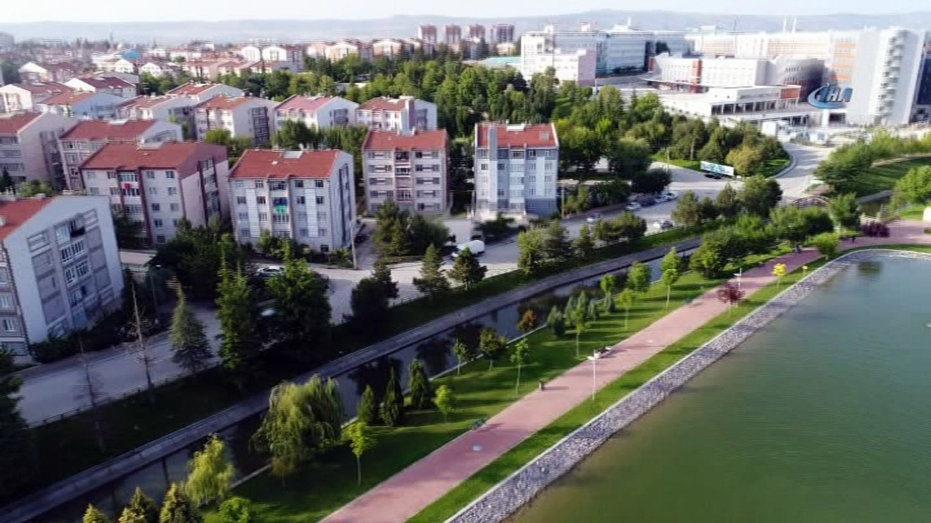 Şehrin ortasında yaban hayatı