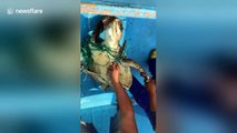 Fishermen rescue sea turtle entangled in net off Ecuador coast