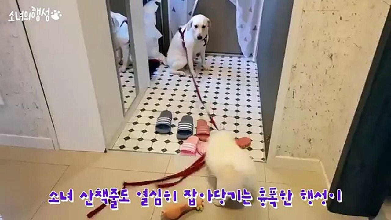 『／제주도콜걸 카톡LBN77「제주도콜걸샵」홈피XO43,NET／』제주도출장샵ラ%일본인출장만남ラ제주도콜걸강추ラ제주도출장샵추천ラ제주도콜걸후기제주도출장안마ラ제주도콜걸가격ラ제주도출장업소ラ