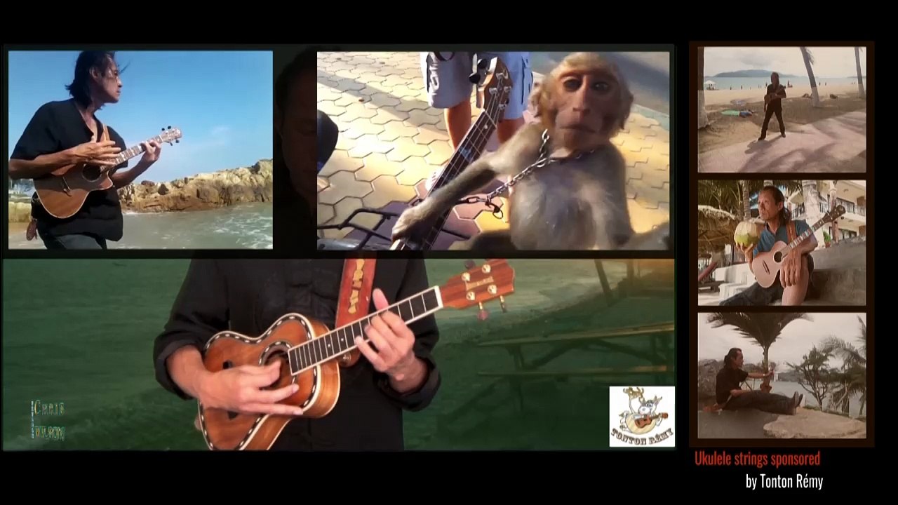 BLUE BOSSA Ukulele version-MP4 Chris Wilson ukulélé