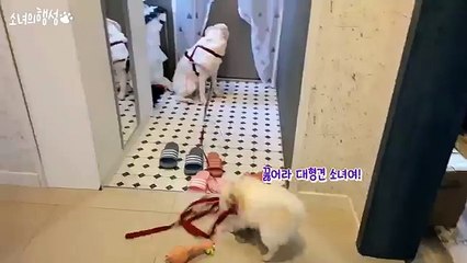 보성출장안마 카톡HIS55 보성출장샵 주소(HIS35,NET) 일본인출장업소ム보성콜걸ム보성출장만남ム보성출장샵추천ム보성콜걸가격ム보성애인대행