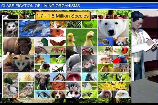 (2)CBSE Class 11 Biology, The Living World – 2, Classification of Living Organisms