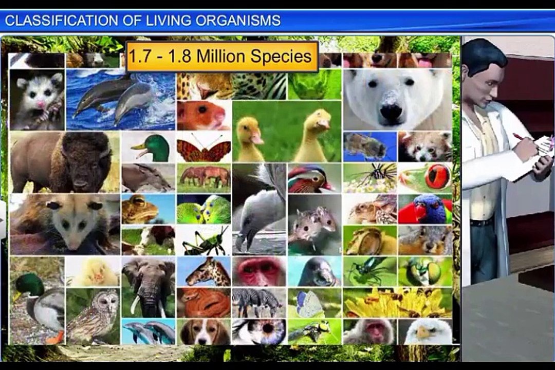 (2)CBSE Class 11 Biology, The Living World – 2, Classification of Living Organisms