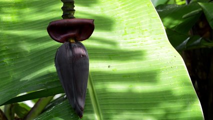 To Celebrate Father's Day, Google Doodle Splashes Colour And Symbolism