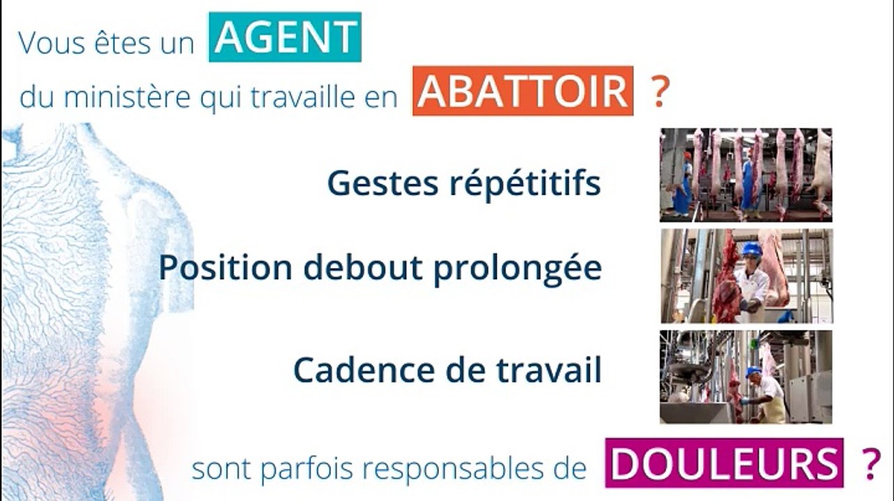 Prévention des troubles musculo-squelettiques en abattoirs : formation en ligne