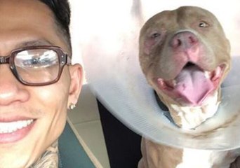 Man Has Tearful Reunion With Dog 3 Months After He Was Kidnapped