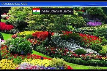 (4)CBSE Class 11 Biology, The Living World – 4, Taxonomical Aids