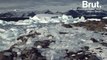 Antarctique : la fonte des glaces s'accélère