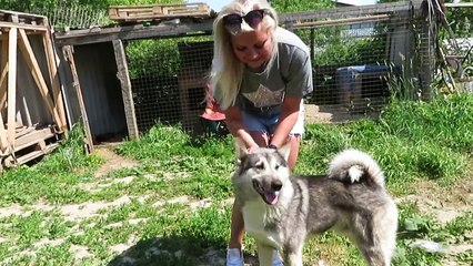 ЩЕНКИ И ЛАЙКИ ВСЕ РАДЫ ПРИЕЗДУ!!!