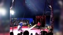 Oso ataca a domador en circo ruso y deja al público en shock