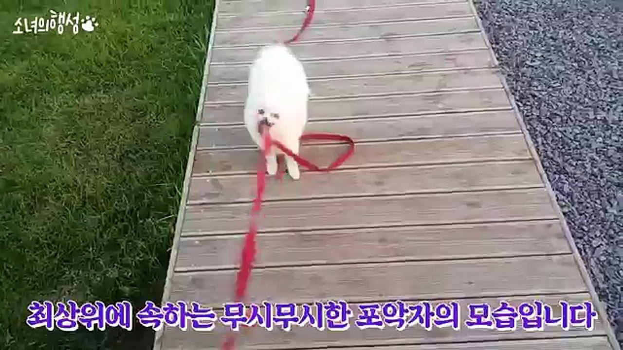 이천출장샵【카톡:HIS55】일본인출장만남【//HIS35,NET//】이천콜걸ヨ이천출장샵추천ヨ일본인이천콜걸샵ヨ이천출장업소ヨ이천출장안마추천ヨ이천출장만남ヨ이천콜걸