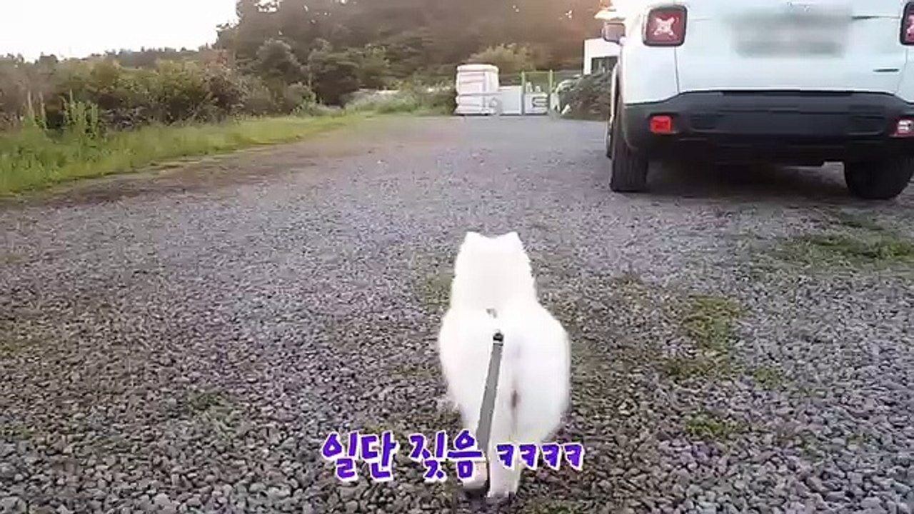 담양콜걸 『카톡wht79 담양출장샵 초이스[wht66．net]미시출장안마 담양출장만남 담양출장안마 담양출장업소 ラ 담양출장마사지 담양출장콜걸샵 담양출장샵추천ラ 담양콜걸만남 담양출장샵강추