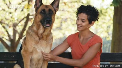 Could Dogs Hold the Secret to Human Weight Loss?