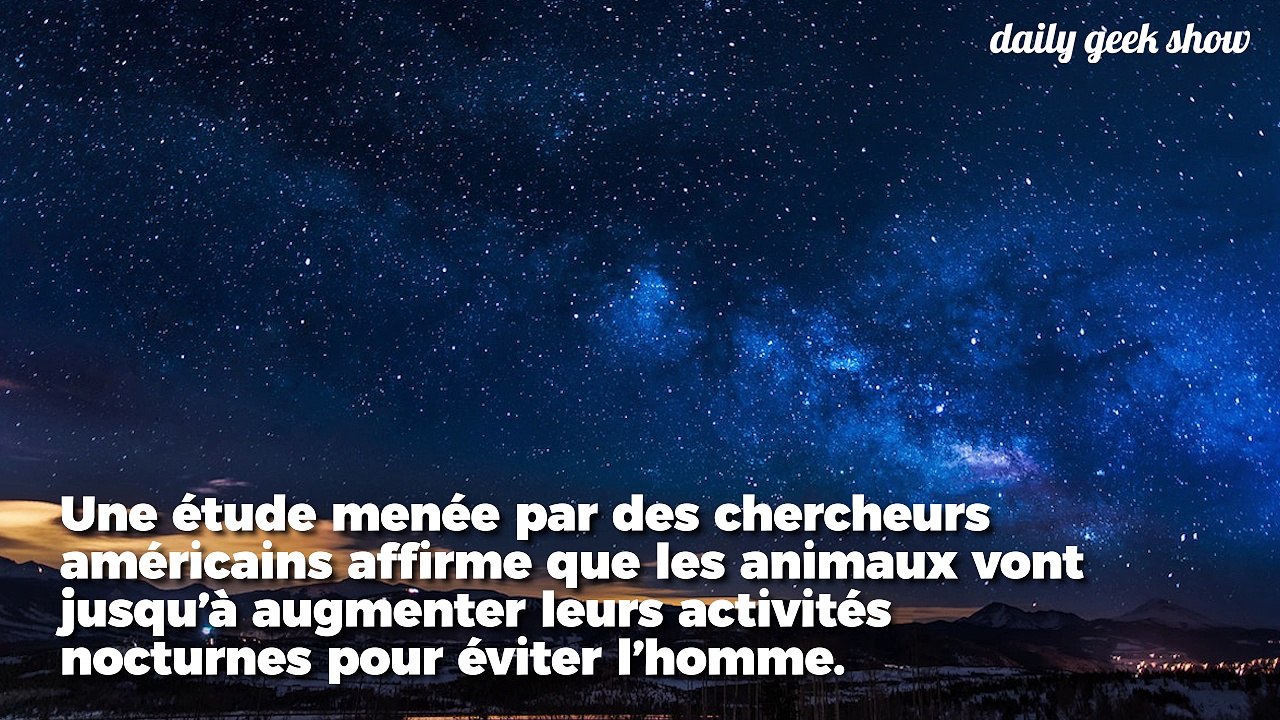 Les mammifères deviennent nocturnes pour éviter de croiser des humains