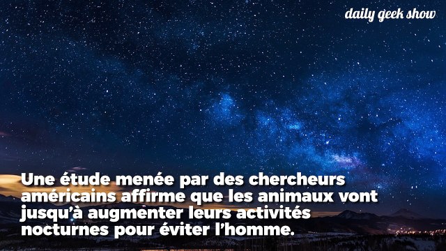 Les mammifères deviennent nocturnes pour éviter de croiser des humains