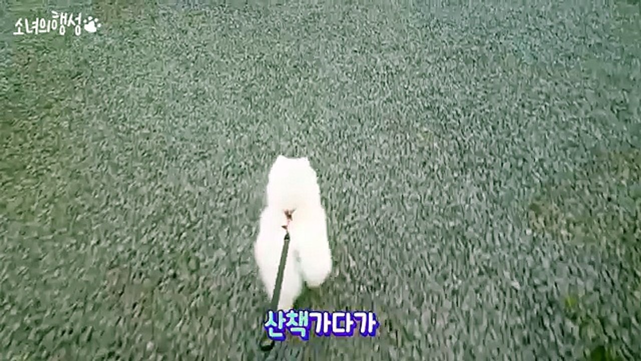 영산출장안마 『카톡wht67 영산출장샵 초이스[wht67．net]미시출장만남 영산콜걸 영산출장마사지 영산출장업소 D 영산출장만남 영산출장콜걸샵 영산출장샵후기D 영산콜걸만남 영산출장샵안내