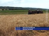 Počela žetva ječma, 18.jun 2018. (RTV Bor)