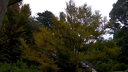 EDR October #25 2017 Helicopter Sound