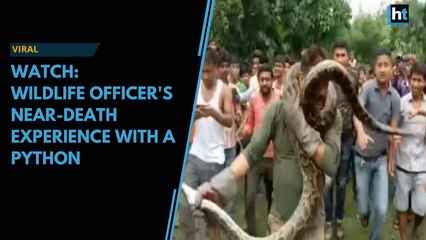 Wildlife rescuer's near-death experience with a python