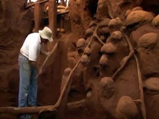 Un nid de fourmis géant est excavé par des experts