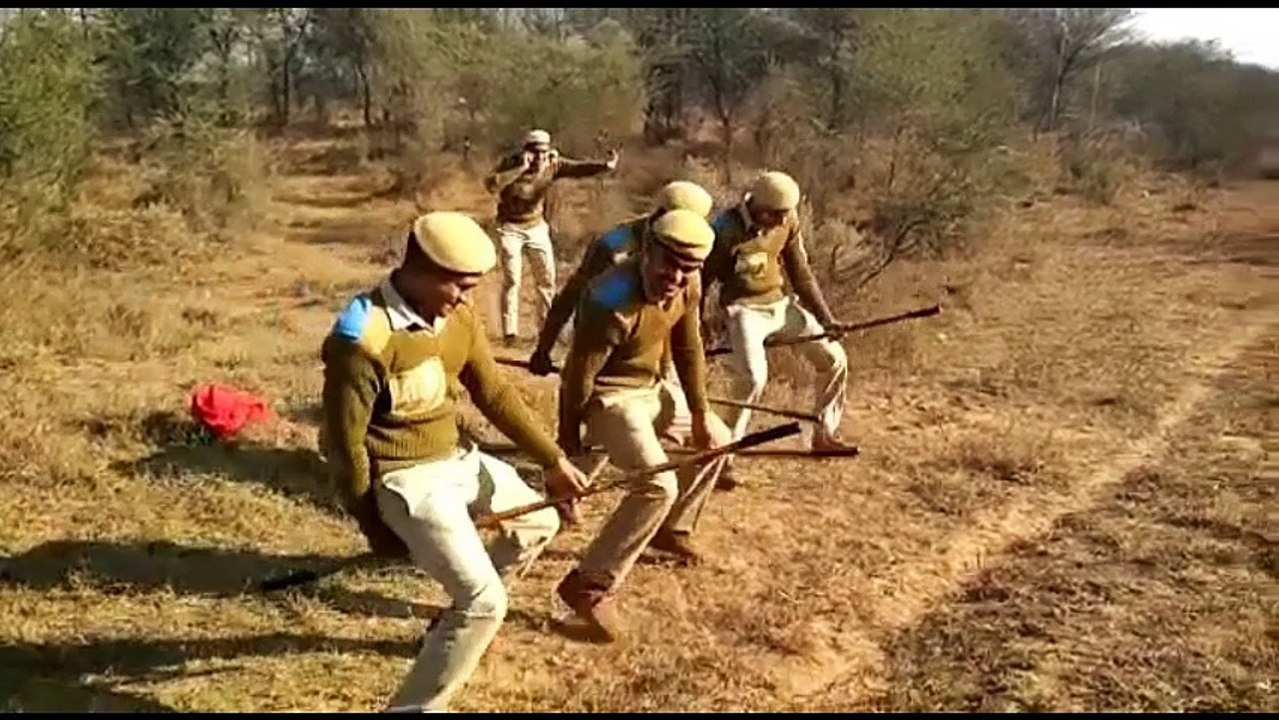New Desi Dance