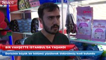 Fatih’te hayvanseverleri ayağa kaldıran olay