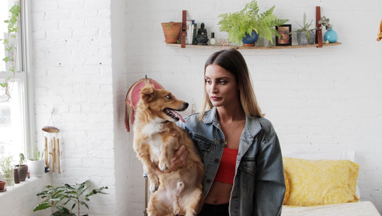 This Loft Holds 2 Humans, 2 Animals, and 52 Plants