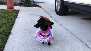 Lilly got a new outfit