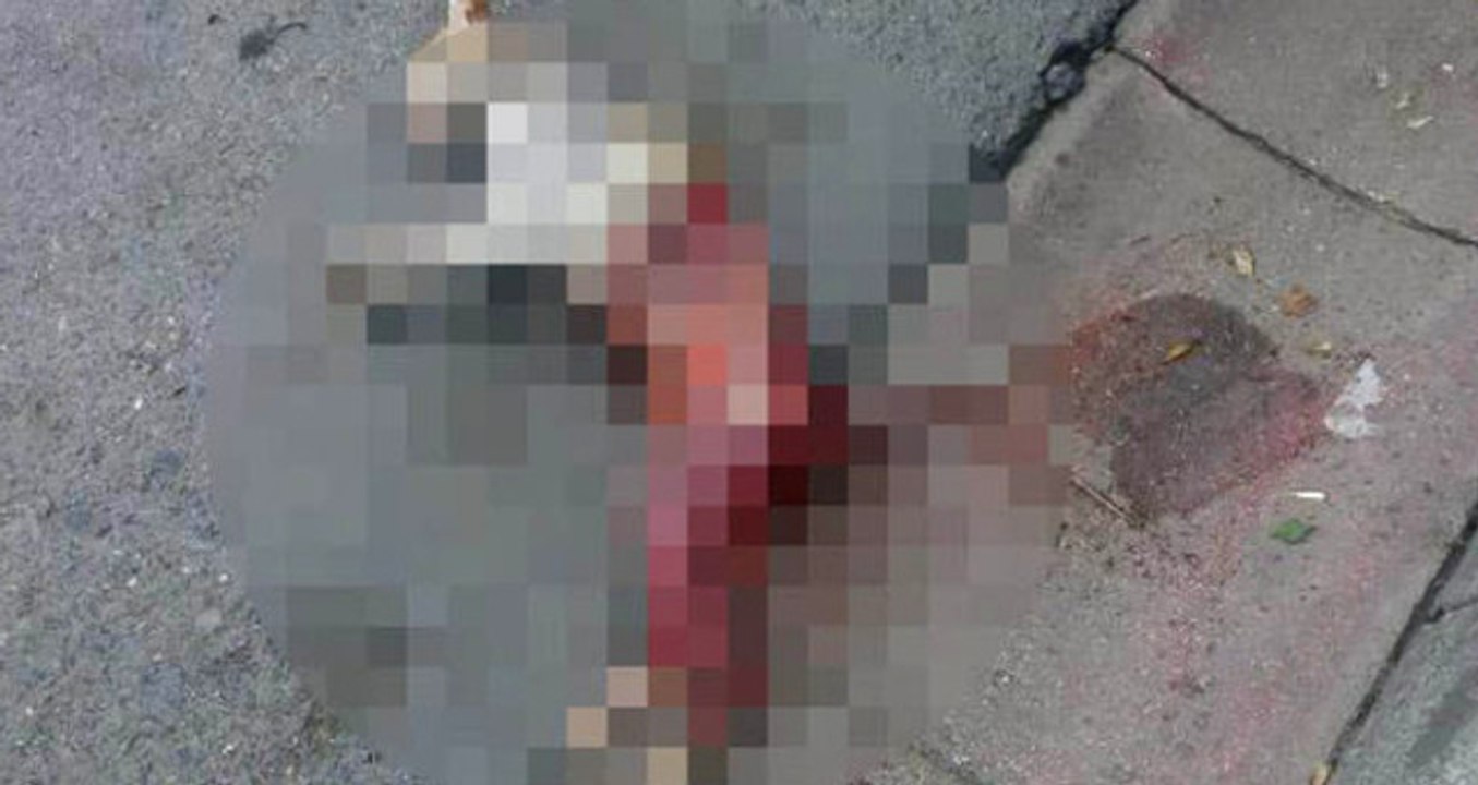 Bunu Yapan İnsan Olamaz! İstanbul'da Otomobilin Altında Derisi Yüzülerek Öldürülmüş Halde Sokak Kedisi Bulundu