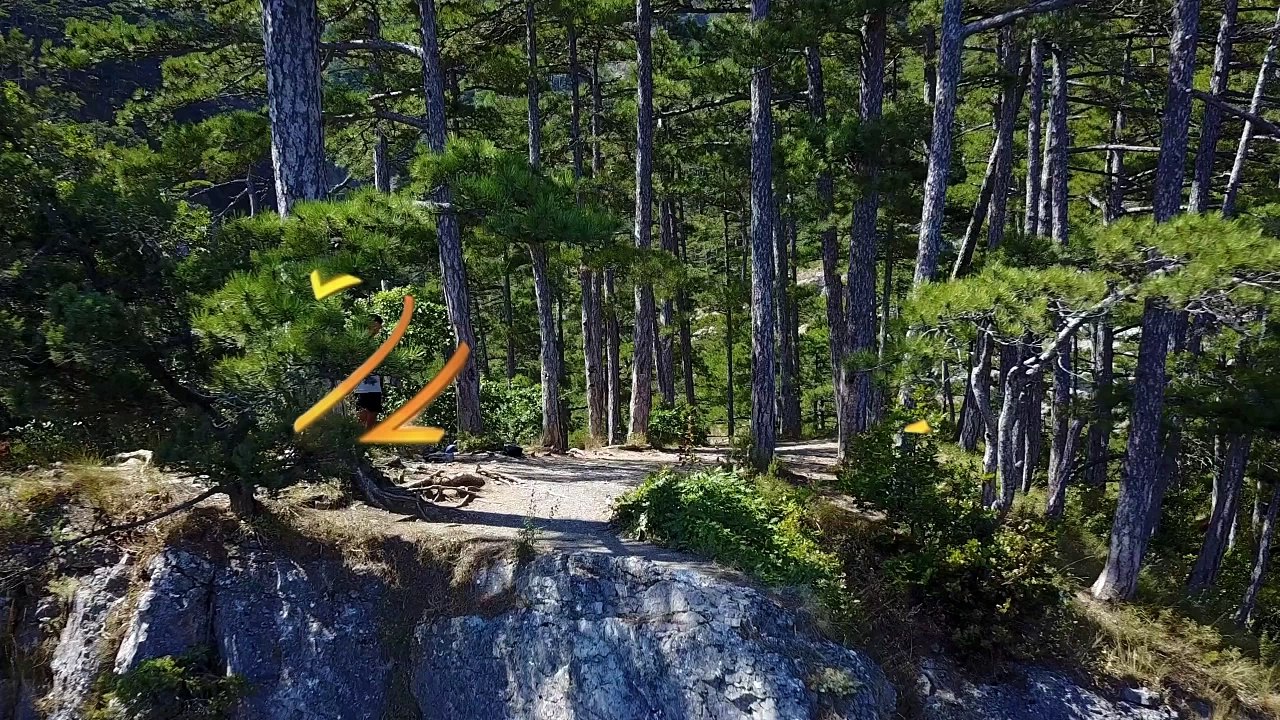 intro tv21dok