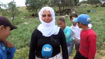 Dağlar Teröristlerden Temizlendi, Yaylalara Huzur Geldi