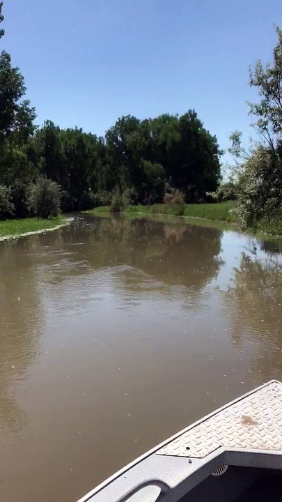 Boating Fun Leads to Cracked Windshield