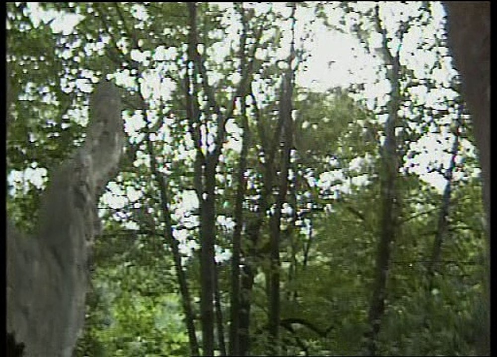 The Bill  S01E05 - It's Not Such A Bad Job After All