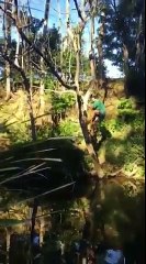 Télécharger la video: Traverser une rivière sur une branche... FAIL !