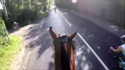 Ces cyclistes emballent un cheval en le percutant en roulant !