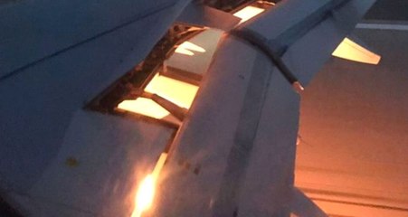 Dünya Kupasında Mücadele Eden Suudi Arabistan'ın Uçağı Havada Alev Aldı