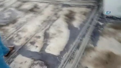 Bacaya Sıkışan Kedi Kurtarıldı