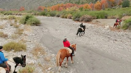 Traveling On Horseback Through Chilean Countryside