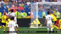 [월드컵-경기영상] 비디오판독 끝에 페널티킥…스웨덴에 0:1 패