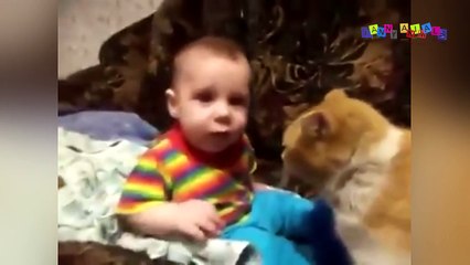 Разные приколы с разными животными #5