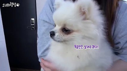 (##)부안출장샵 (카톡:LBN44) {일본인부안콜걸} 주소:XO43,NETュ여대생출장안마#부안콜걸샵#미시출장만남ュ분수쇼출장샵추천ュ부안출장업소 #부안출장대행