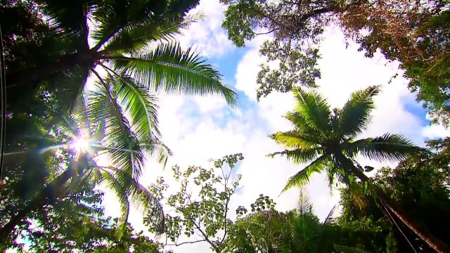 THE ISLAND CELEBRITES M6 EP 11 ET 12