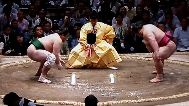 佐田の海 vs 豪風 2018年大相撲夏場所8日目 20180520
