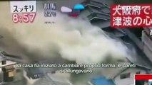 Terremoto Giappone, gli italiani a Osaka: 