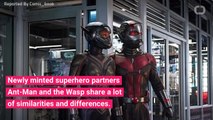 Evangeline Lilly Talks Differences Between Ant-Man And Wasp